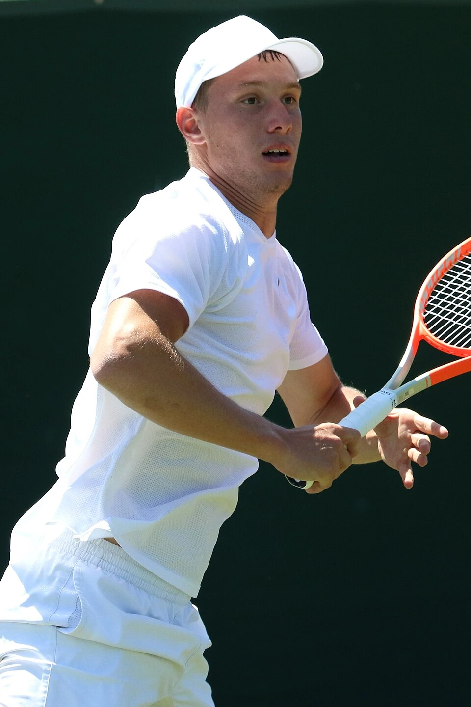 Filip Misolic Net Worth: Estimate, Sources, and Income Breakdown