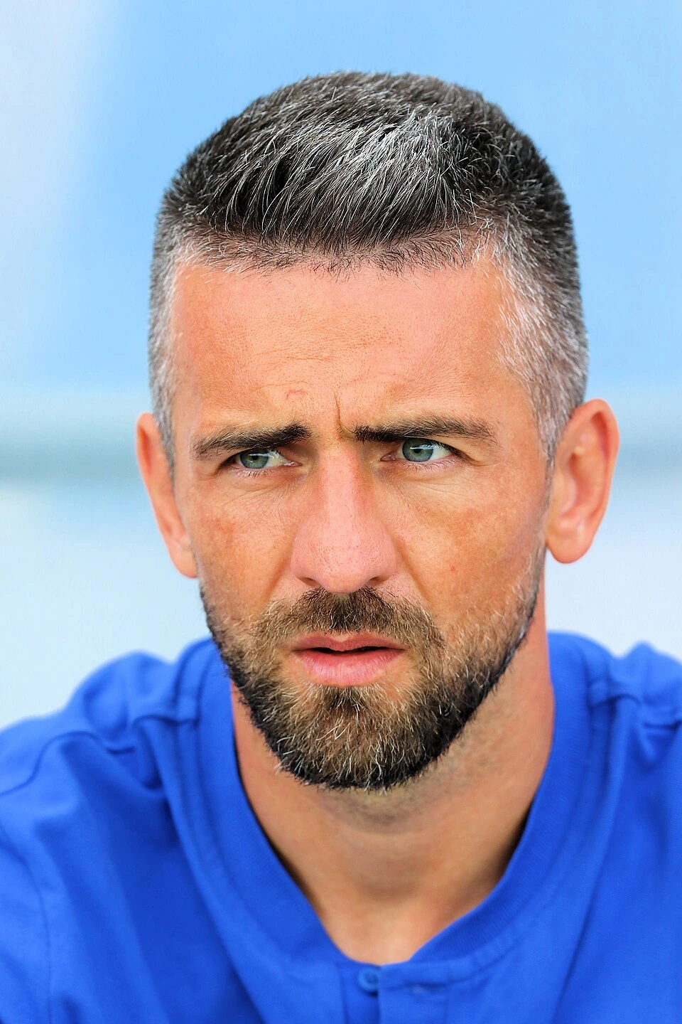 Vedad Ibisevic Net Worth: Estimated Wealth and Breakdown